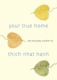 Yourtruehome 1200x1677