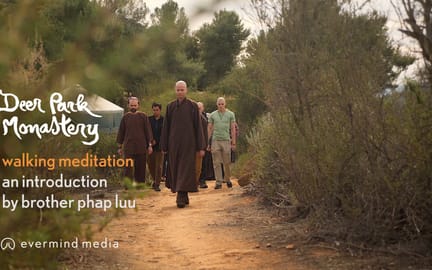1 Walking Meditation an introduction by Brother Phap Luu