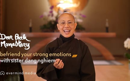 Befriend Emotions Sr Dang Nghiem