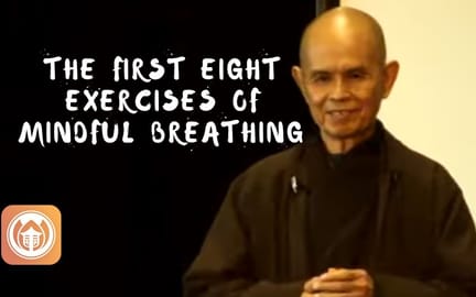 First8 Exercises