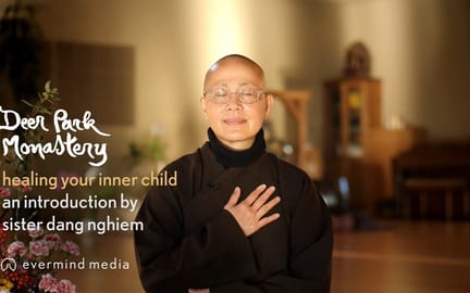 Inner Child Sr Dang Nghiem