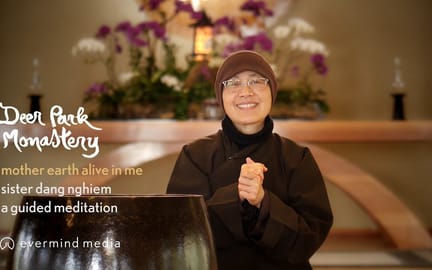 Mother Earth Sr Dang Nghiem