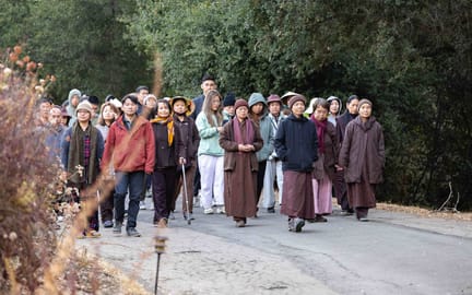 Vietnamese Retreat Walking Meditation