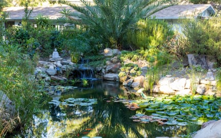 Mindful living