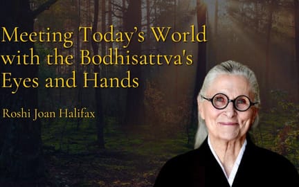 Yt thumbnail roshi joan halifax interview